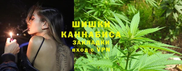 прущие грибы Липки
