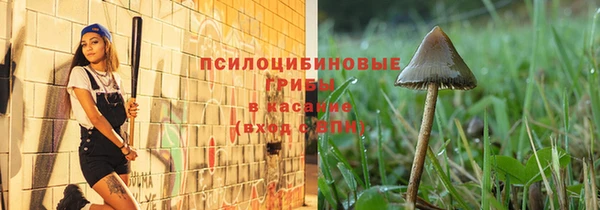 прущие грибы Липки