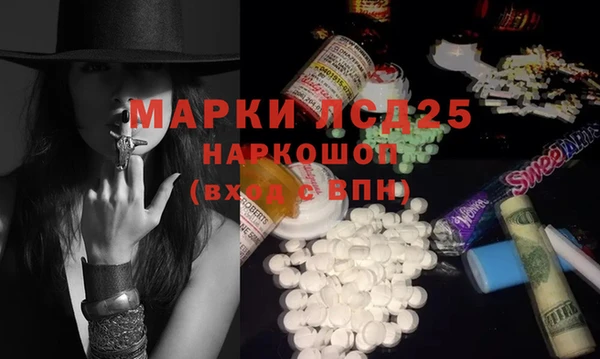 прущие грибы Липки