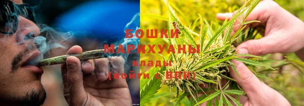 прущие грибы Липки