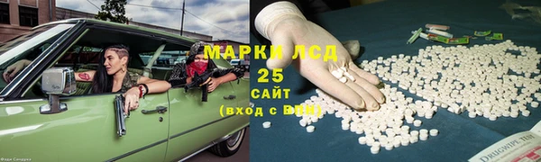 прущие грибы Липки