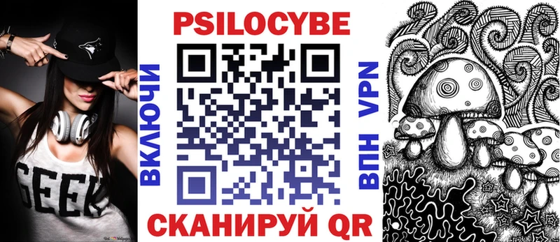 Псилоцибиновые грибы Psilocybe  Холм 