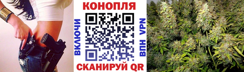дарнет шоп  блэк спрут ТОР  Шишки марихуана THC 21%  Холм 